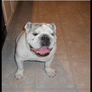 Meet your Posher, William